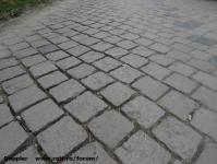 Imagine atasata: Putna - 2015.04.09 - 04.jpg